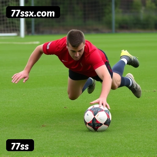 Níveis do programa VIP da 77ss